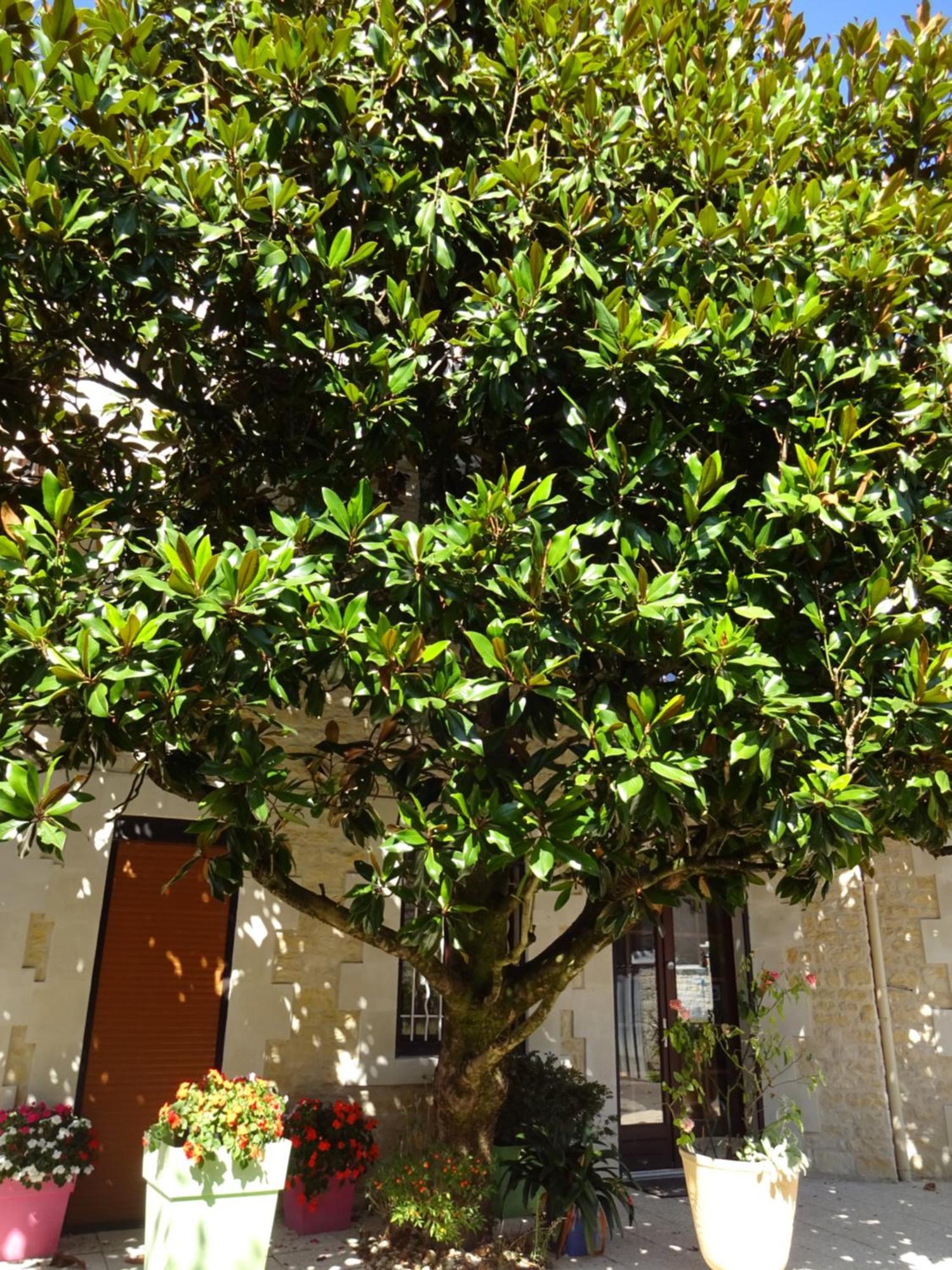 Aux Orangers Hotell Luxé Exteriör bild